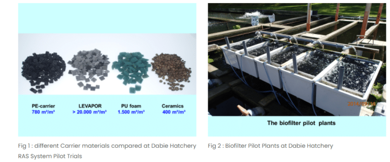 Picture of Ammonia removal for aquaculture - Levapor